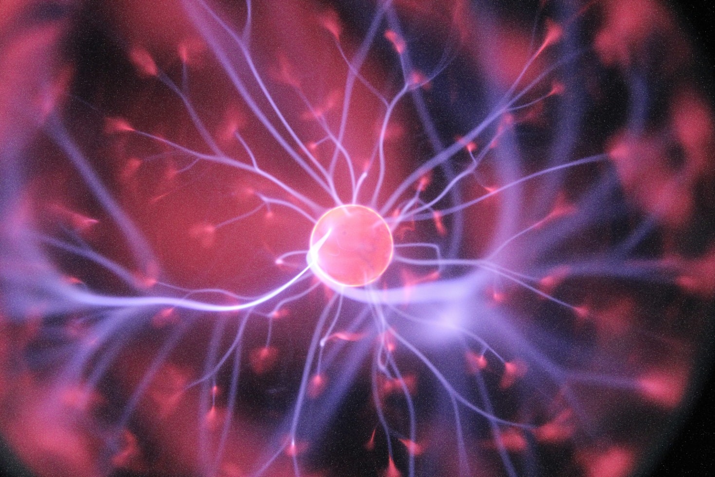 The Future of AI: What to Expect Next
